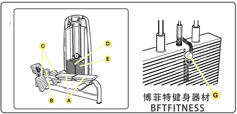 坐姿划船榴莲小视频
